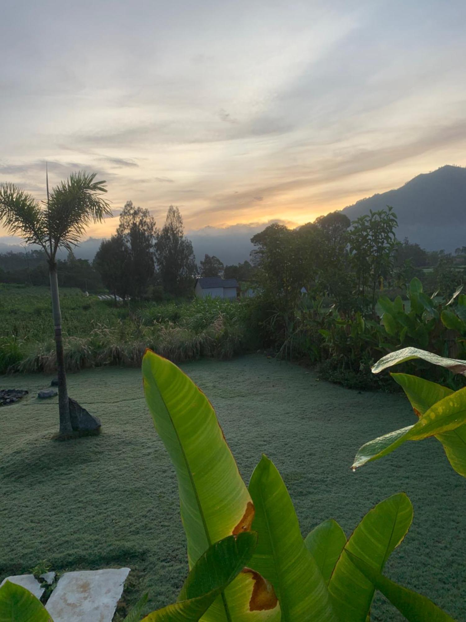Bali Lesung Hotel Kintamani  Bagian luar foto